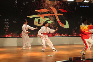 武术精神 勇往直前